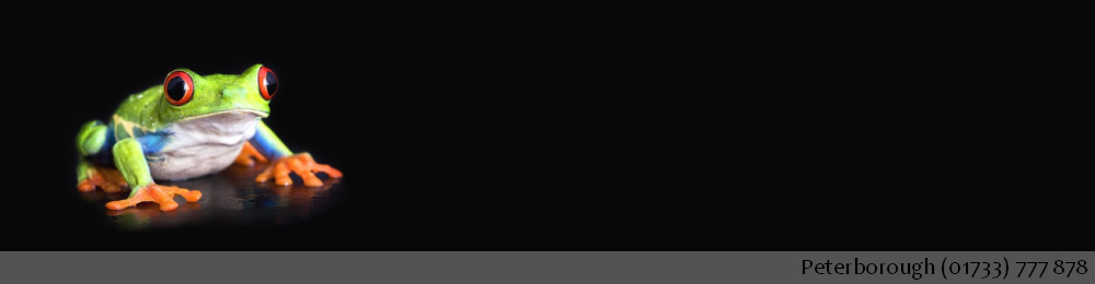 pcwebspace